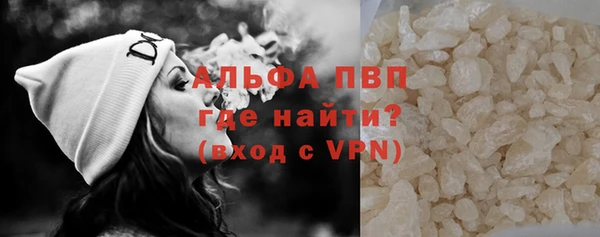 твердый Арсеньев