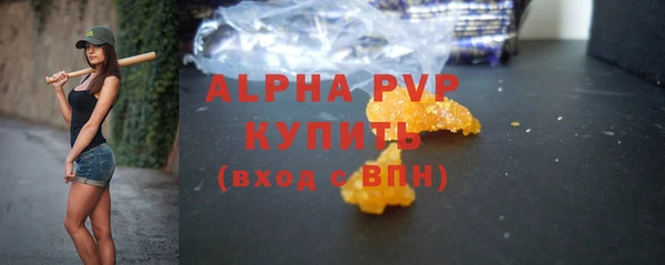 сатива Аркадак
