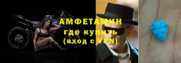 сатива Аркадак